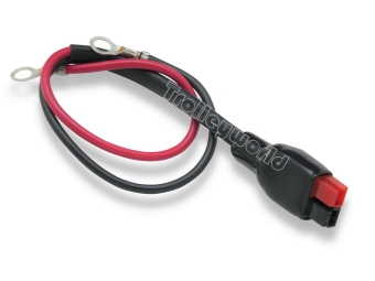 Accu kabels-stekkers